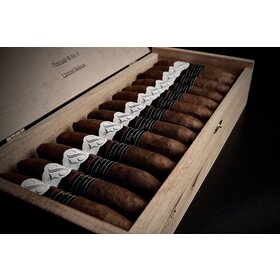 Sencillo Sencillo Black Piramide No. 4 - Box 25