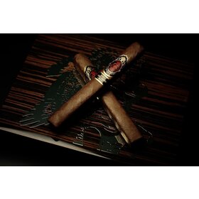 God of Fire Fire KKP Special Reserve Toro  Extra 54 - Box 10