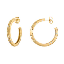 Vanesa Hoop Earrings