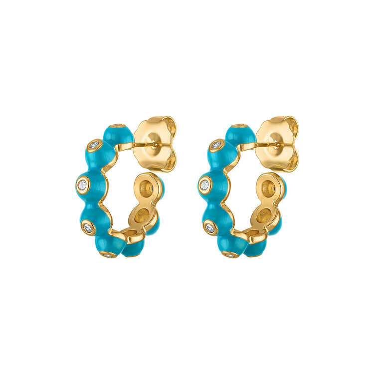 Diana Enamel Hoop Earrings
