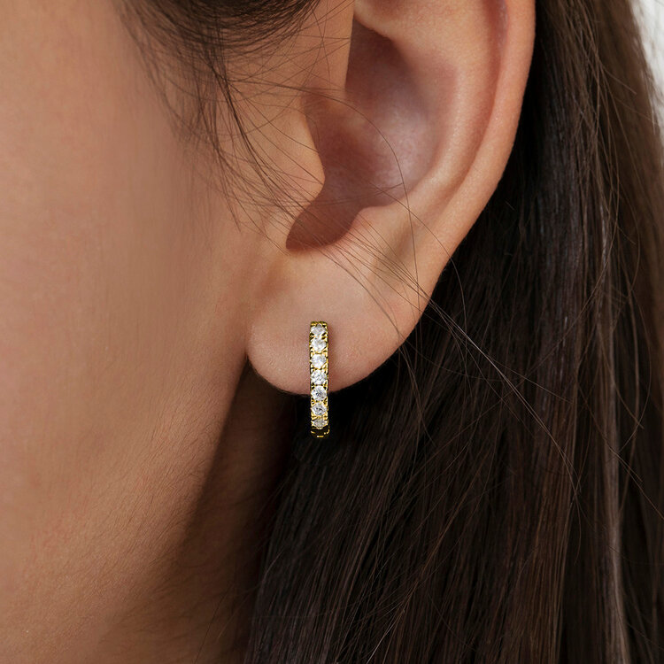 Small Huggie Plated Earrings
