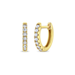 Small Huggie Plated Earrings