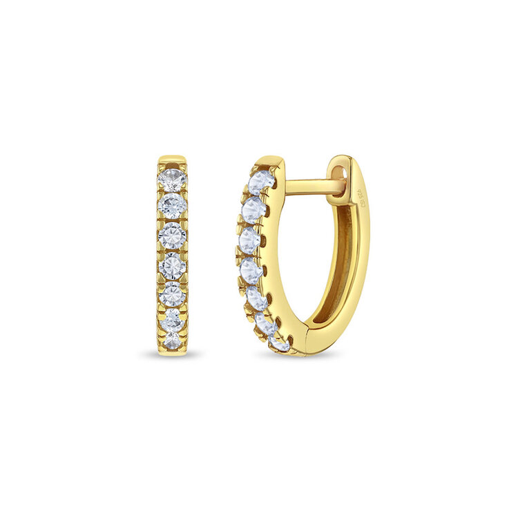 Small Huggie Plated Earrings