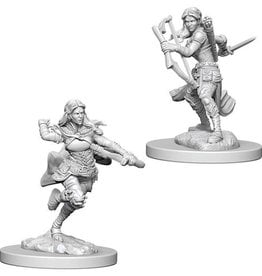 WizKids/NECA D&D Mini: Female Air Genasi Rogue