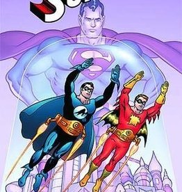 DC Comics Superman: The Adventures of Nightwing and Flamebird
