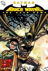 DC Comics Batman: Bruce Wayne The Road Home