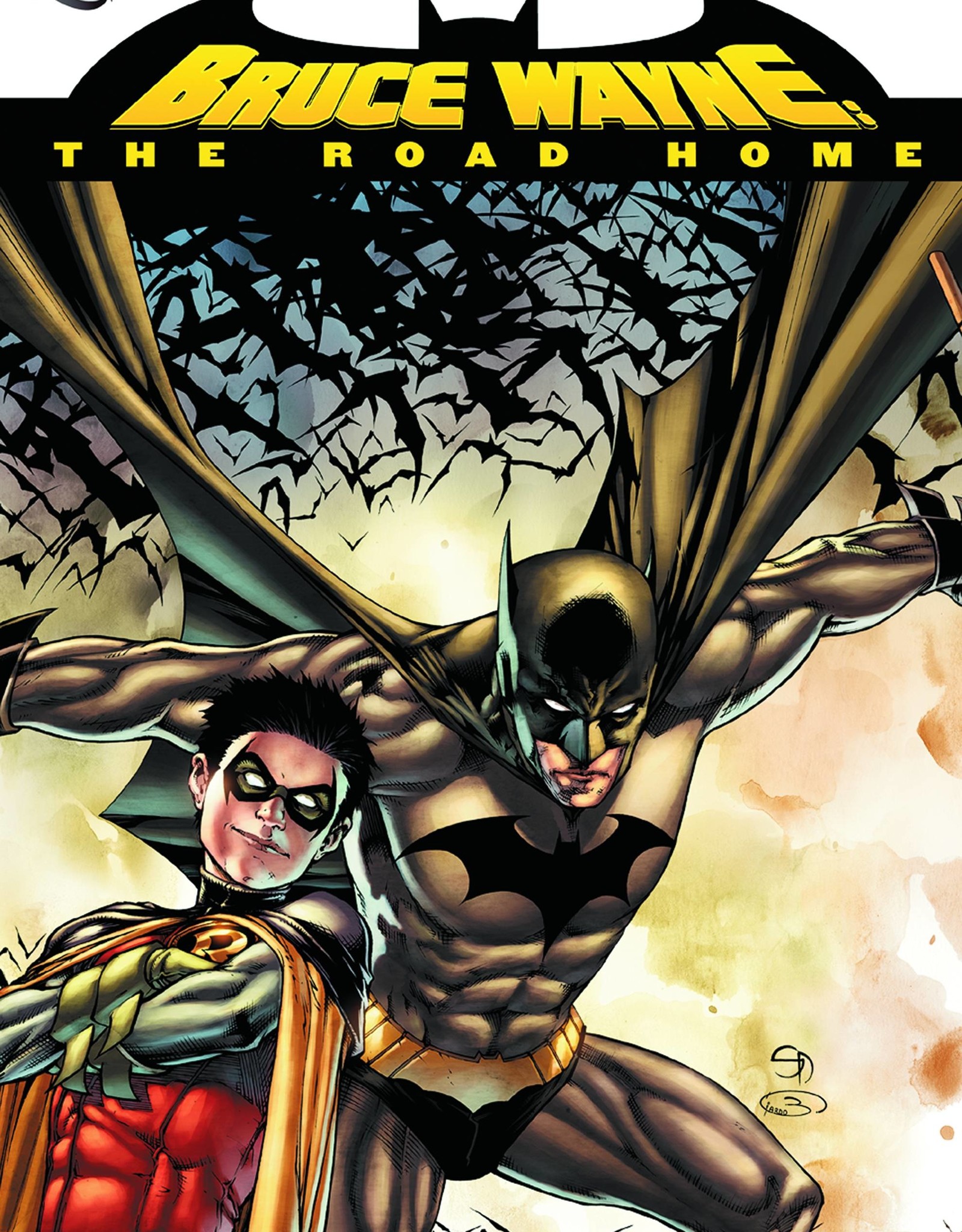 DC Comics Batman: Bruce Wayne The Road Home