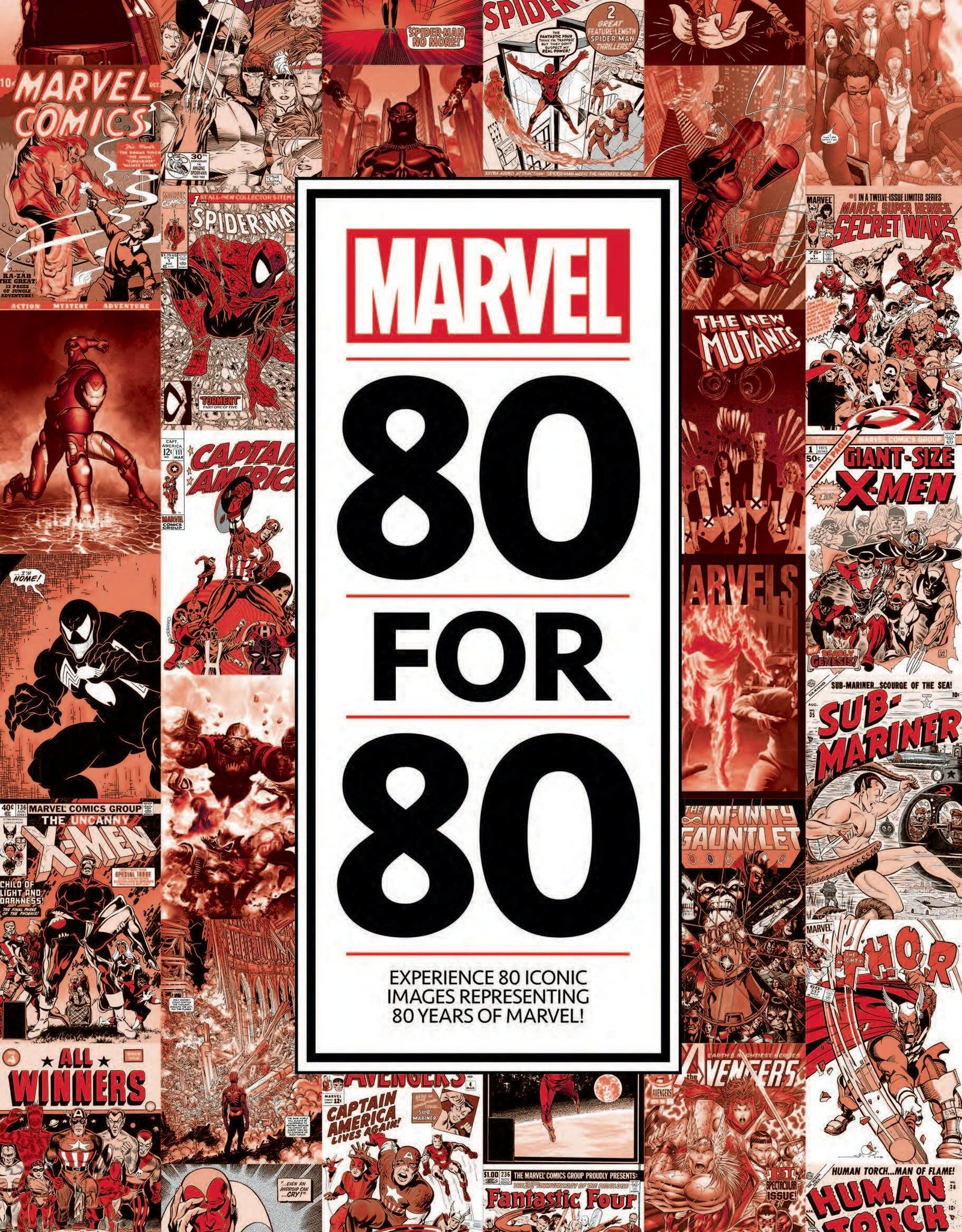 Marvel Comics Marvel 80 FOR 80 Hardcover