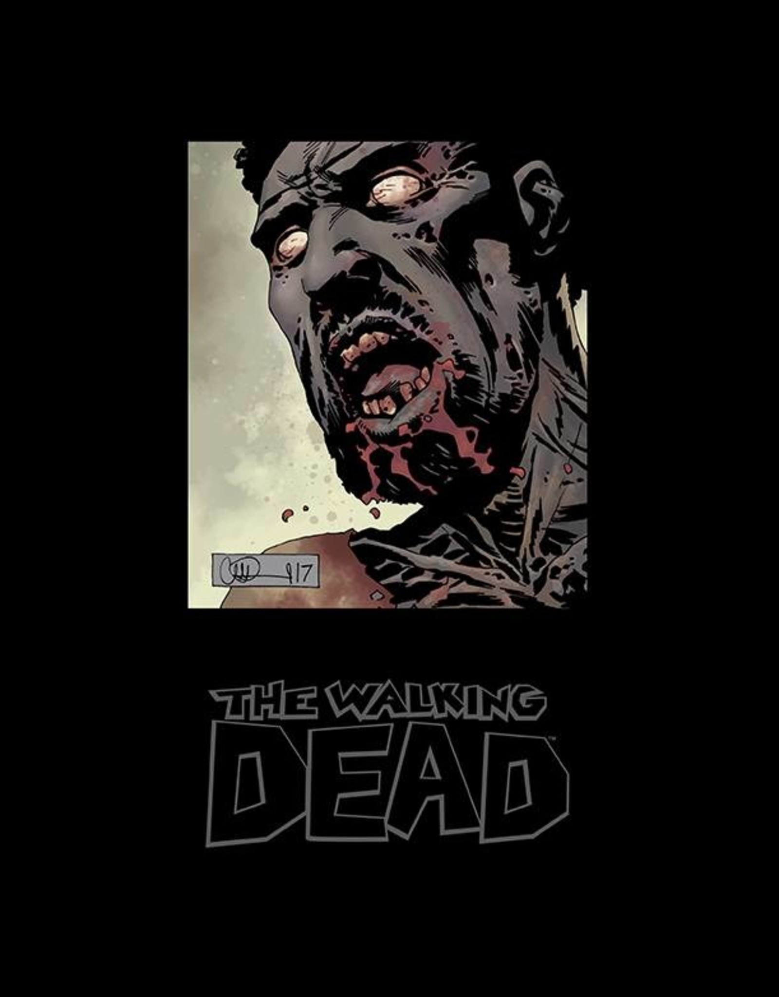 Image Comics Walking Dead Omnibus Volume 08