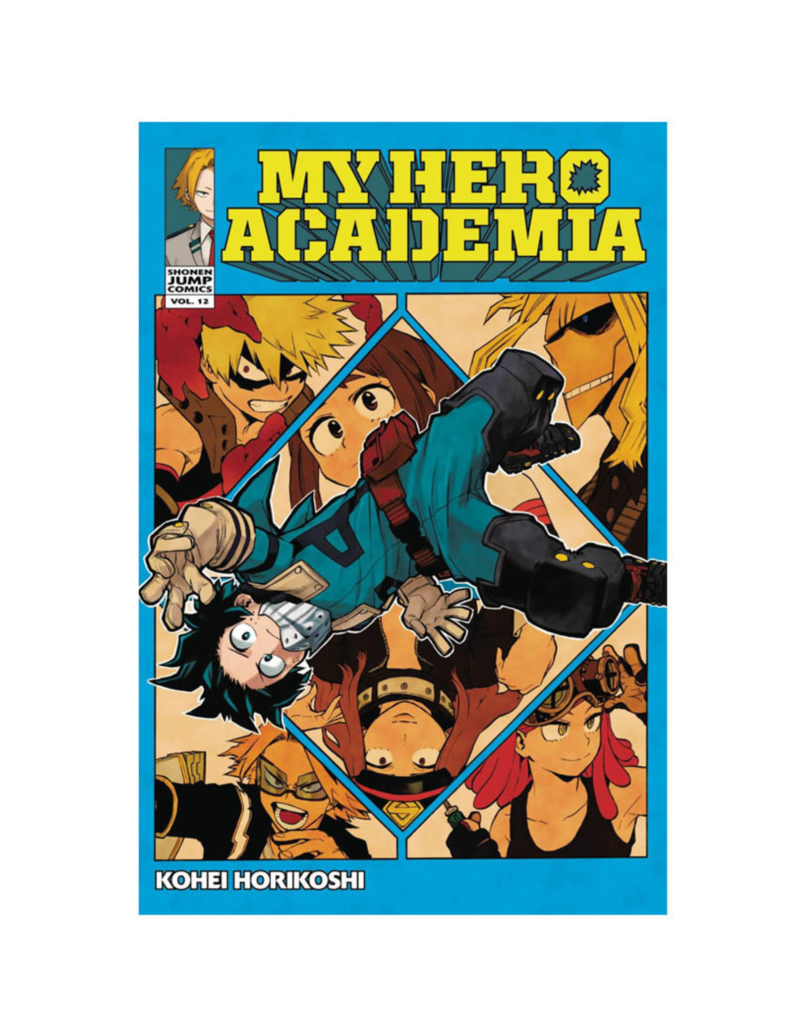 Viz Media LLC My Hero Academia Volume 12