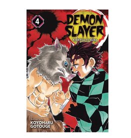 Viz Media LLC Demon Slayer Kimetsu No Yaiba Volume 04