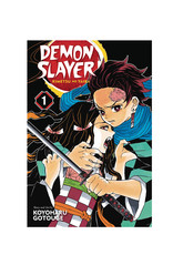 Viz Media LLC Demon Slayer Kimetsu No Yaiba Volume 01