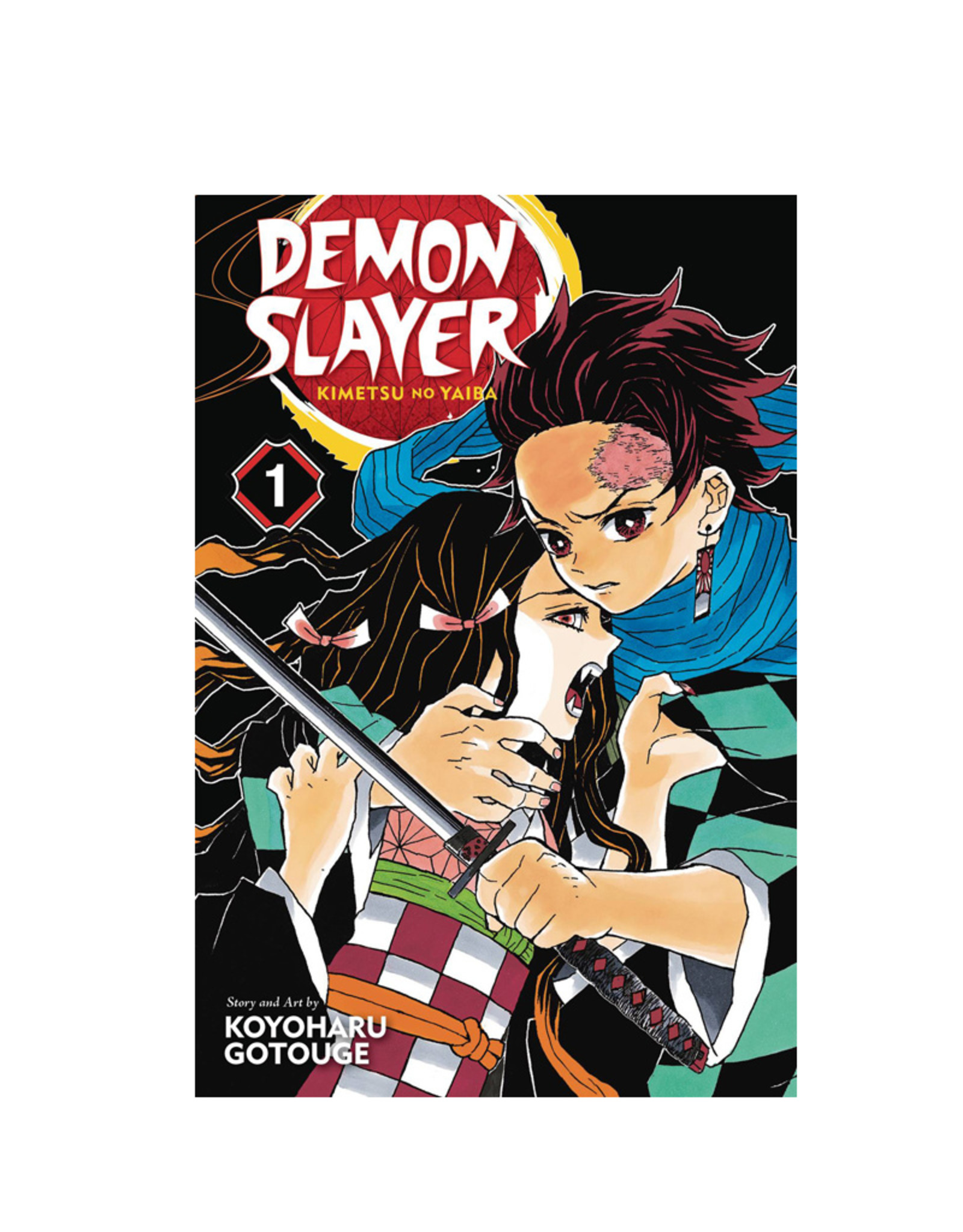 Viz Media LLC Demon Slayer Kimetsu No Yaiba Volume 01