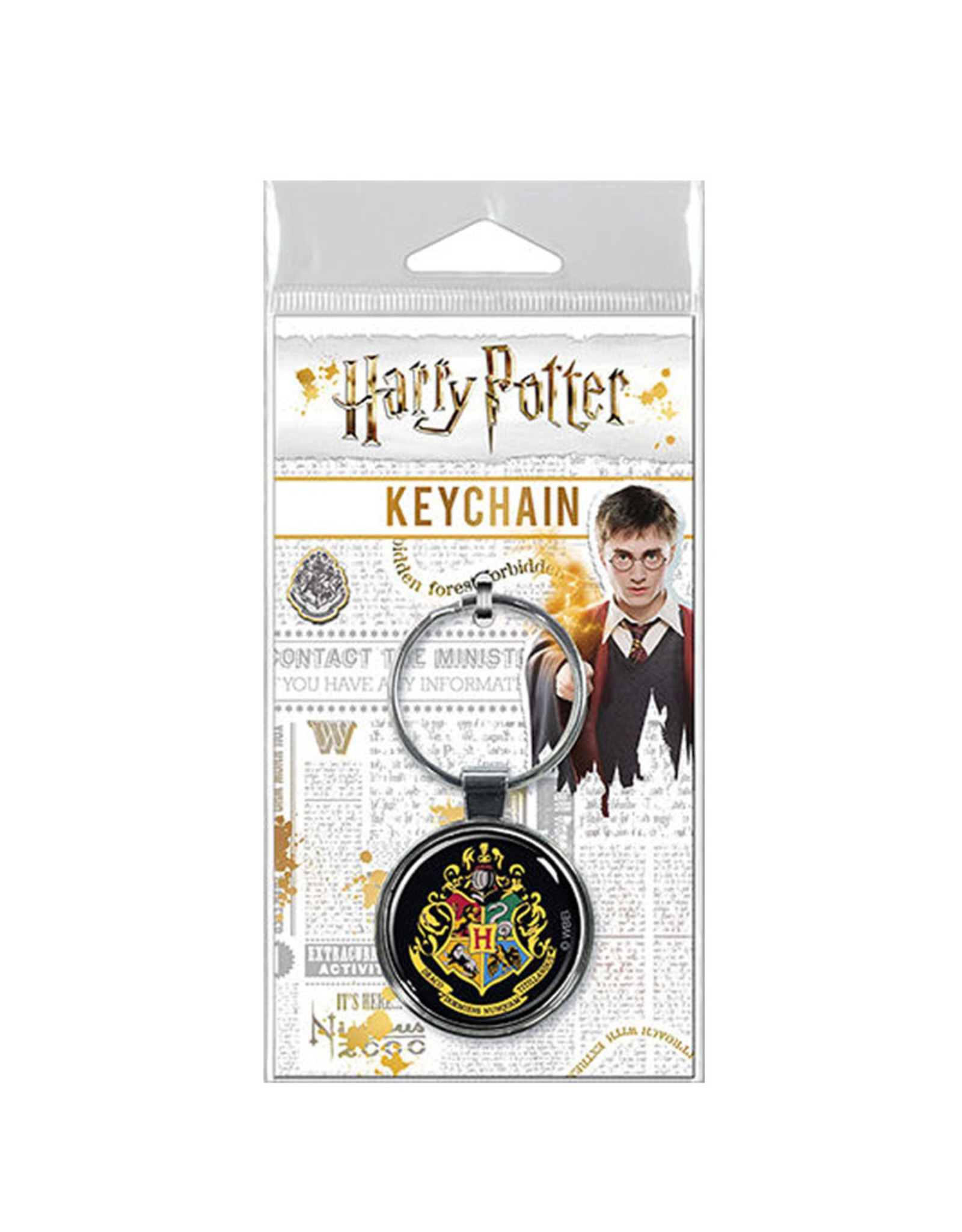 Ata-Boy Harry Potter Hogwarts Crest Keychain
