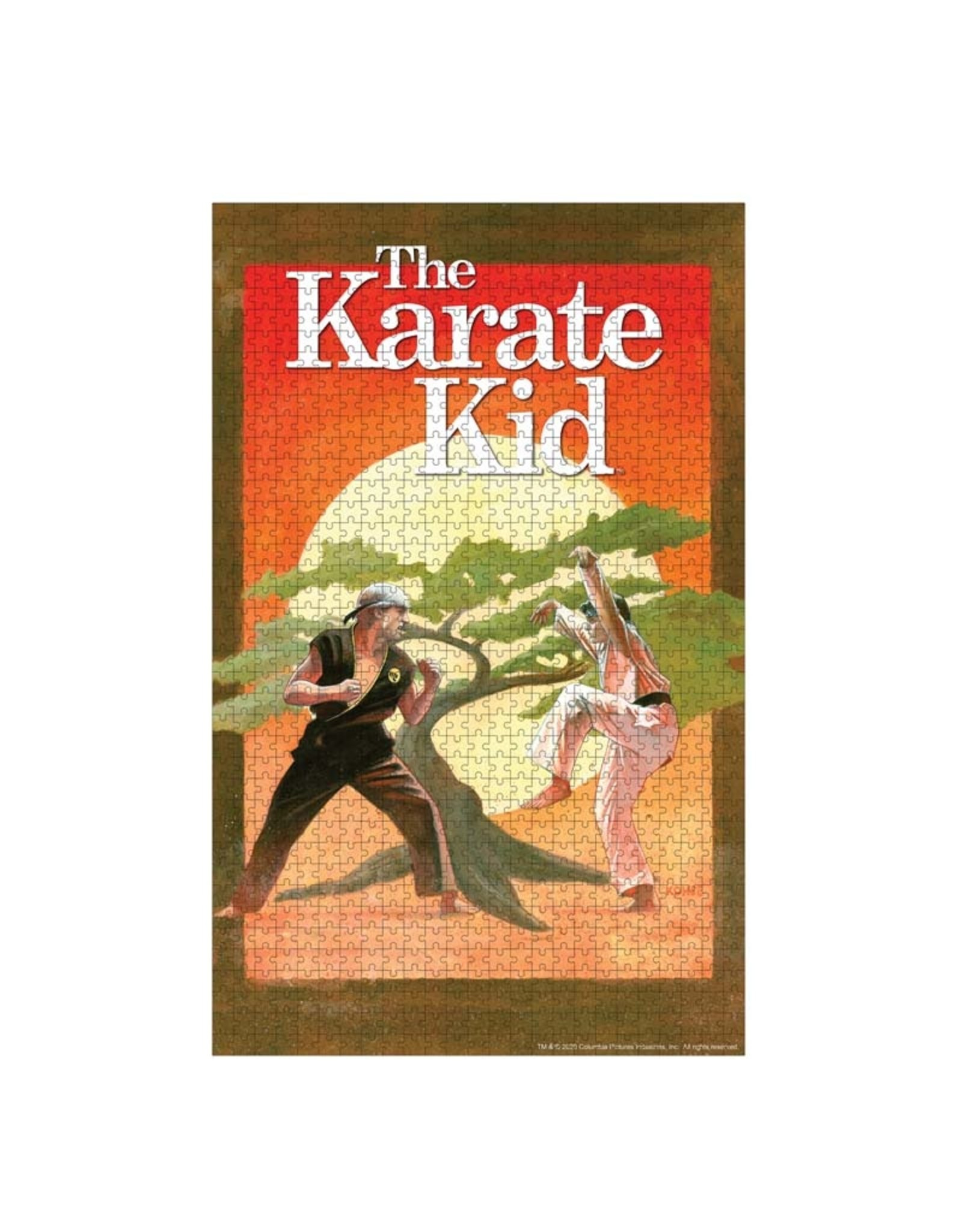 Icon Heroes Karate Kid 1000 Piece Puzzle
