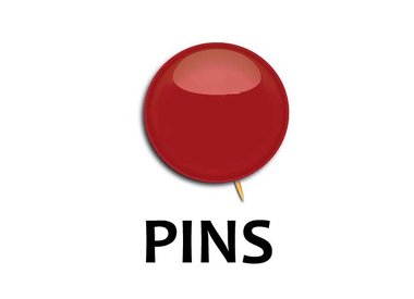 PINS