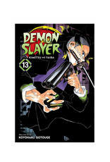 Viz Media LLC Demon Slayer Kimetsu No Yaiba Volume 13