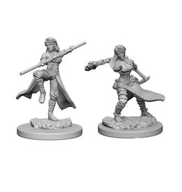 WizKids/NECA DISCONTINUED D&D Mini: Human Female Monk W1