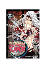 Viz Media LLC Demon Slayer Kimetsu No Yaiba Volume 22