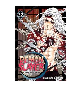 Viz Media LLC Demon Slayer Kimetsu No Yaiba Volume 22