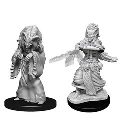 WizKids/NECA DISCONTINUED D&D Mini: Night Hag & Dusk Hag W14