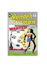 DC Comics Wonder Woman The Silver Age Omnibus Volume 01 Hardcover