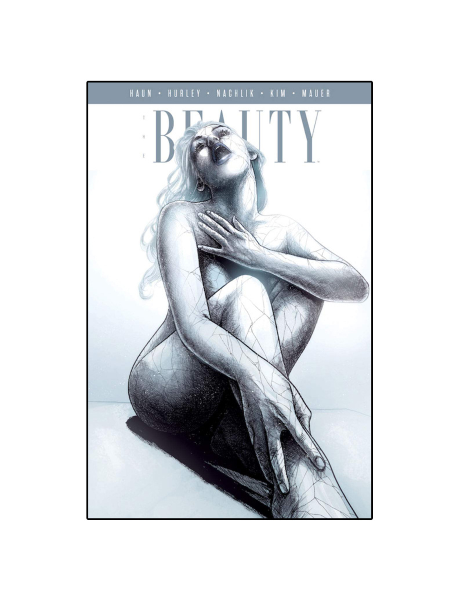 Image Comics Beauty Volume 06 TP