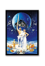 Ata-Boy Star Wars Retro Luke and Leia Poster Flat Magnet
