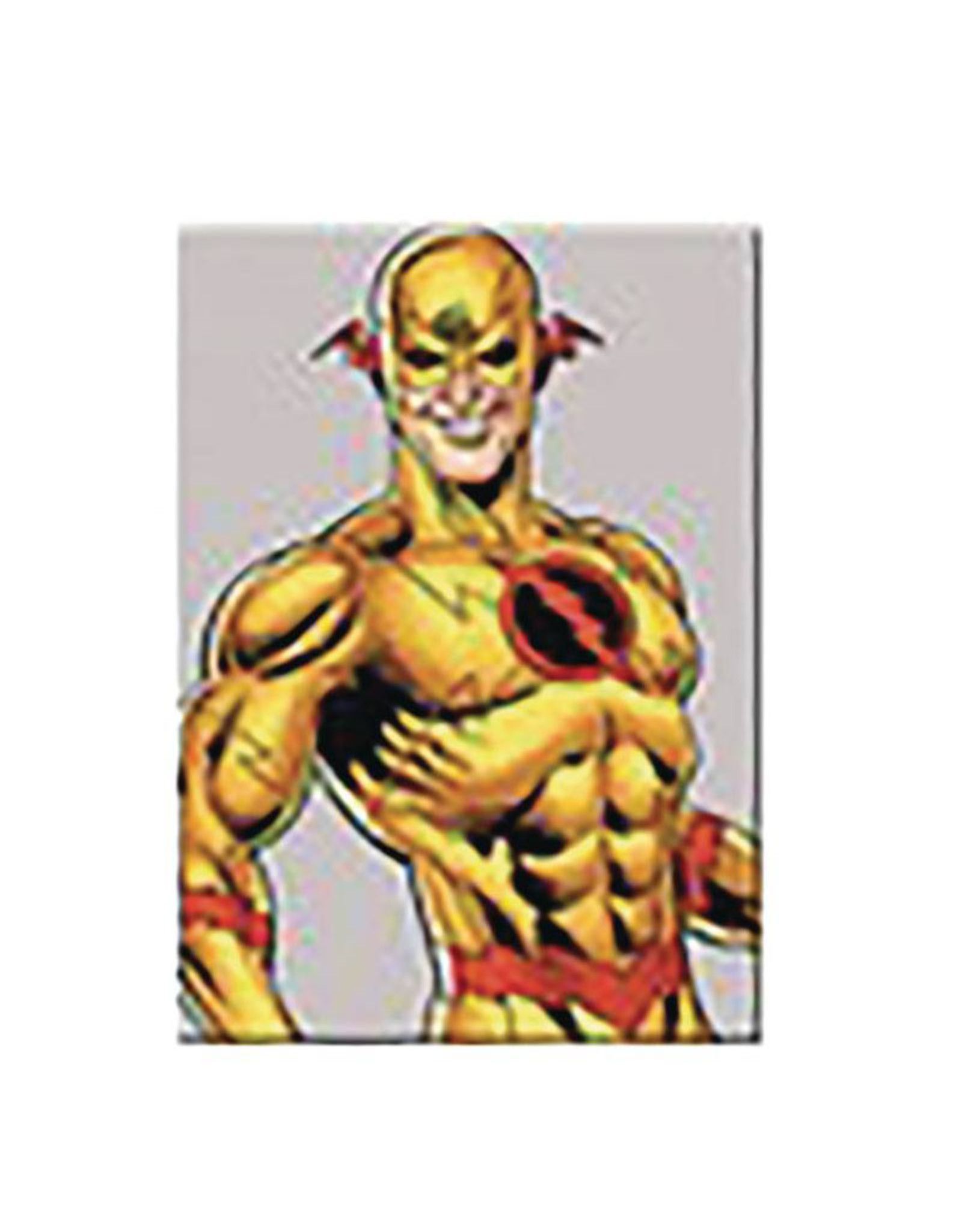Ata-Boy DC Villains Reverse Flash Magnet