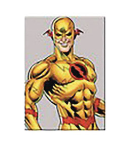 Ata-Boy DC Villains Reverse Flash Magnet