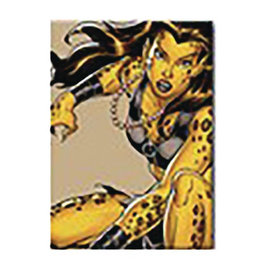 Ata-Boy DC Villains Cheetah Magnet