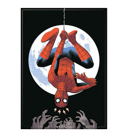Ata-Boy Spider-Man Hanging Magnet