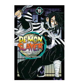Viz Media LLC Demon Slayer Kimetsu No Yaiba Volume 19