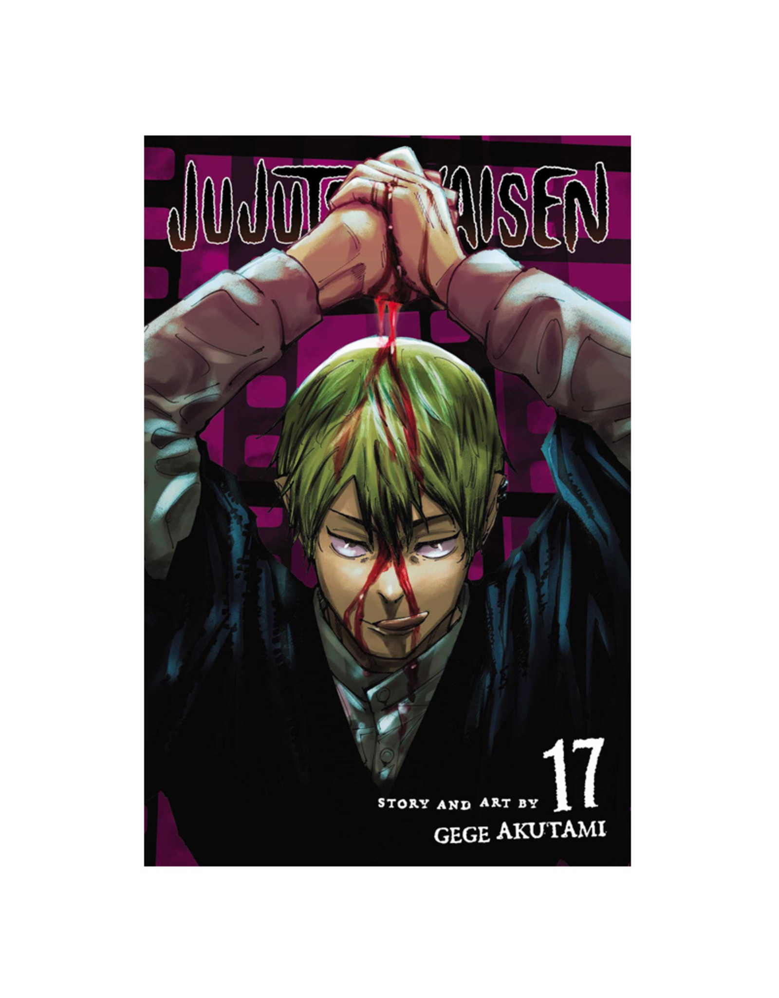 Viz Media LLC Jujutsu Kaisen Volume 17
