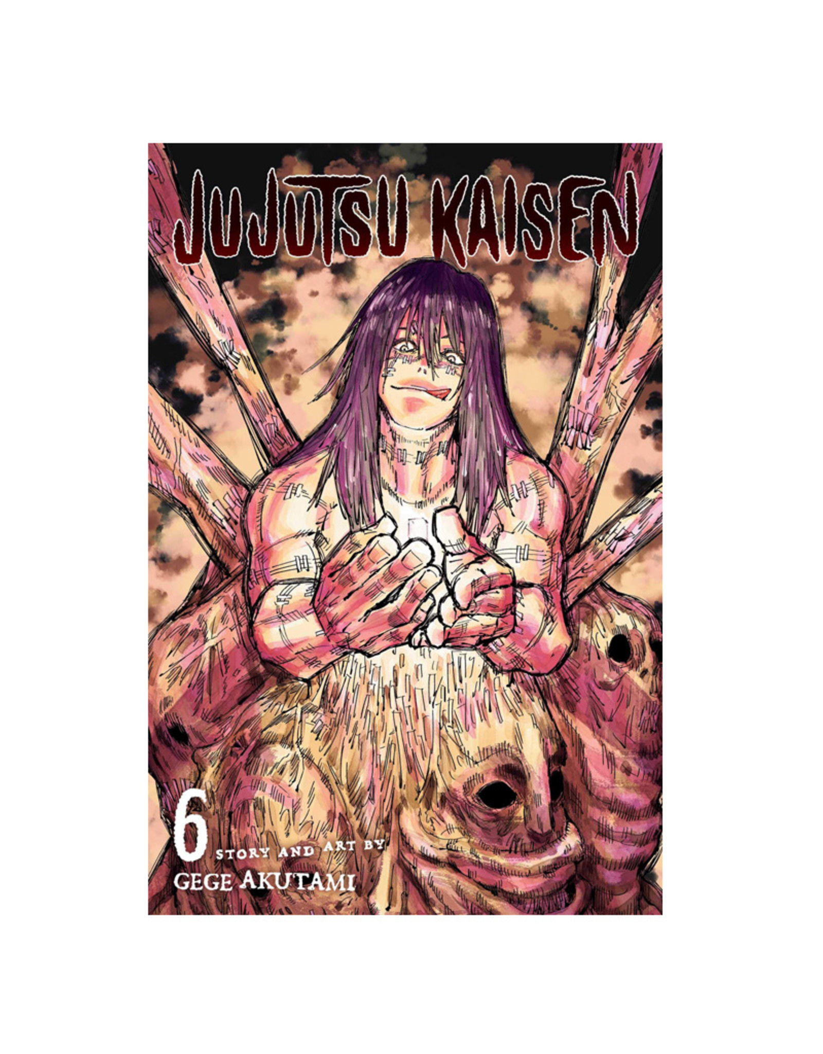 Viz Media LLC Jujutsu Kaisen Volume 06