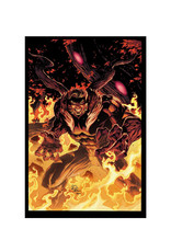 Marvel Comics Sabrethooth: The Adversary TP