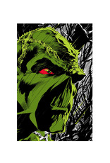 DC Comics Absolute Swamp Thing by Len Wein HC