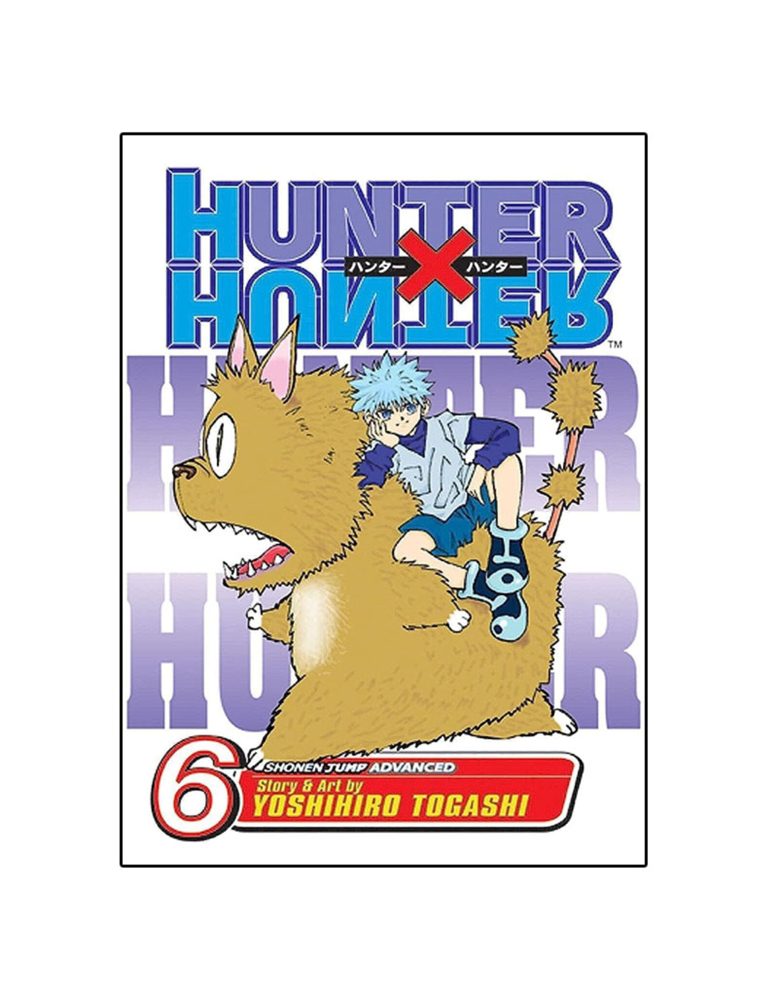 Viz Media LLC Hunter X Hunter Volume 06