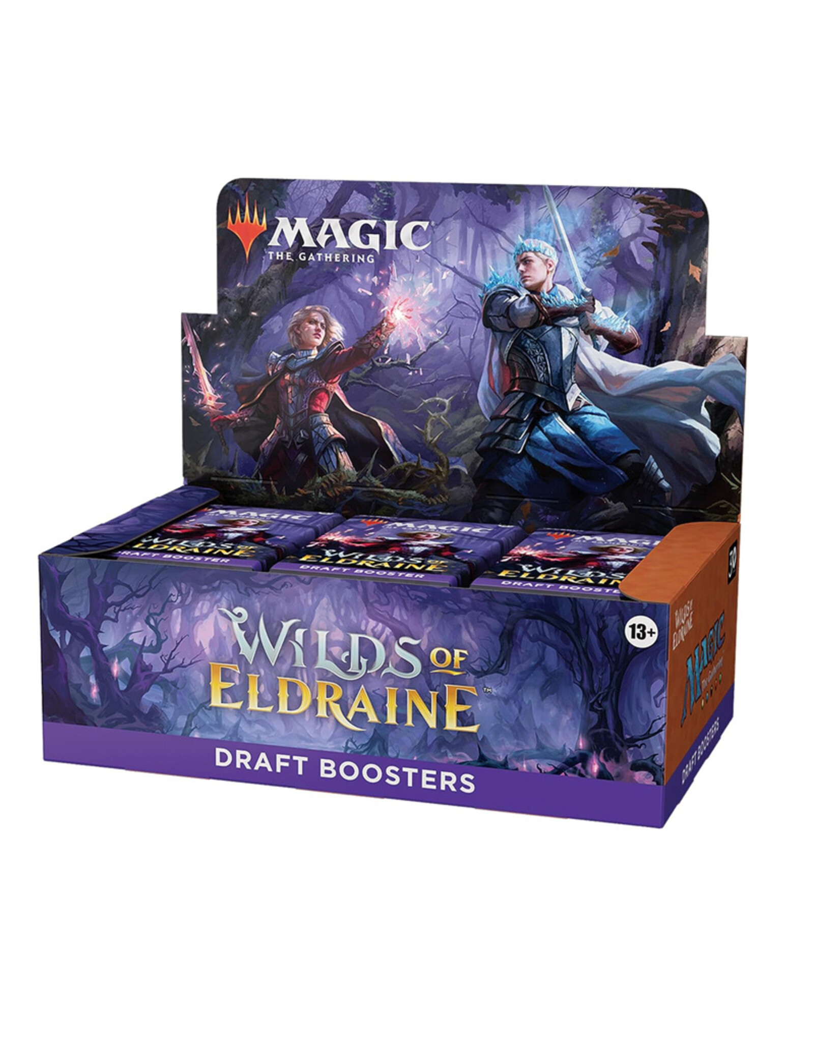 Wizards of the Coast MTG Wilds of Eldraine Draft Booster Box