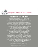 Earth Mama Angel Baby Earth Mama Organics Skin & Scar Balm
