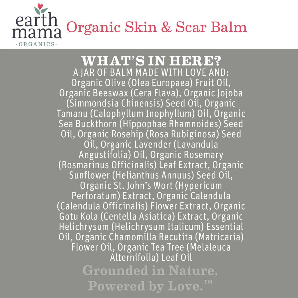 Earth Mama Angel Baby Earth Mama Organics Skin & Scar Balm