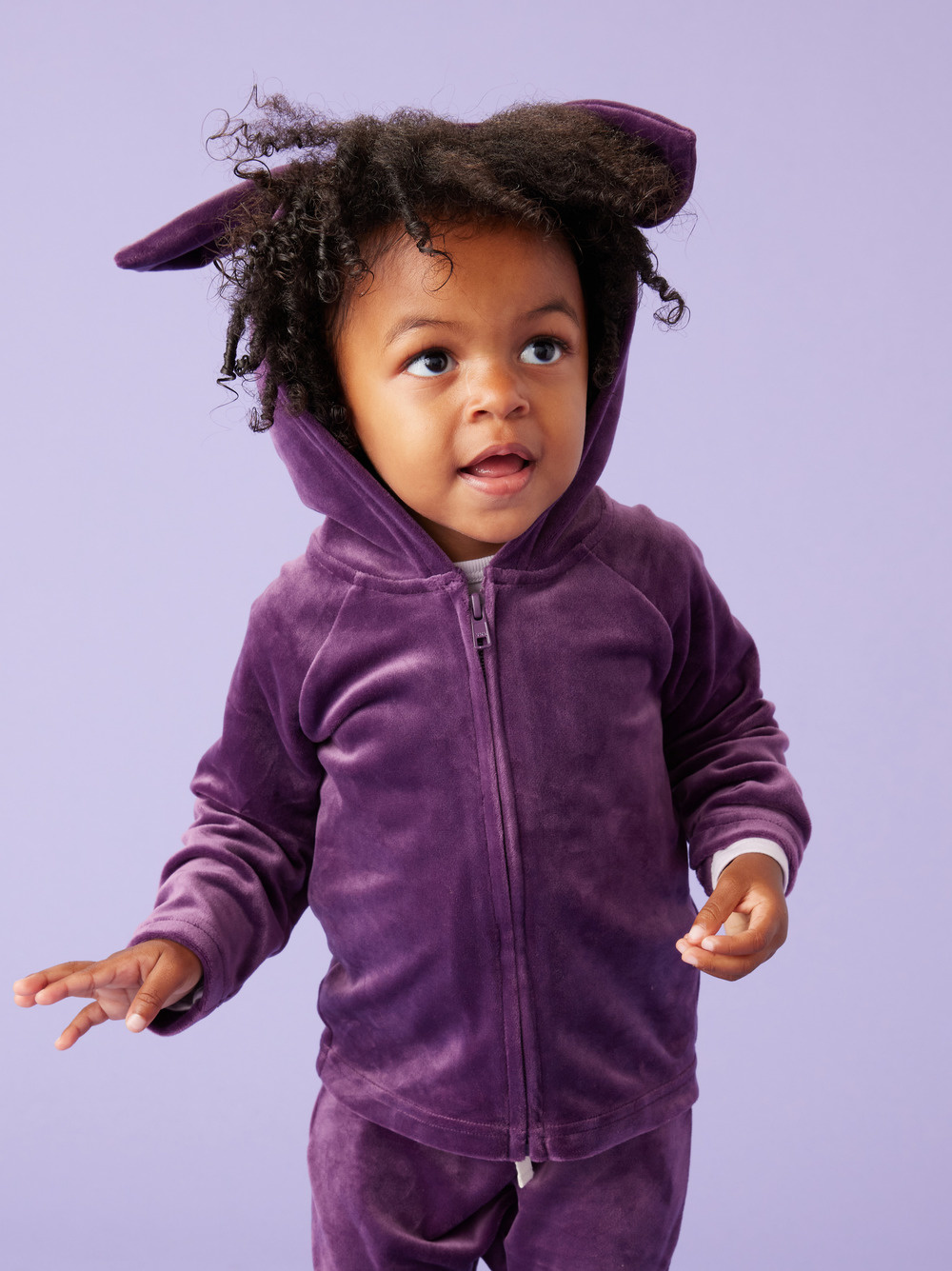 Tea Collection Bunny Ears Baby Zip Hoodie  - Purple Punch
