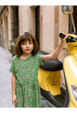 Tea Collection Short Sleeve Ballet Dress - Olive Floral