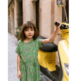 Tea Collection Short Sleeve Ballet Dress - Olive Floral