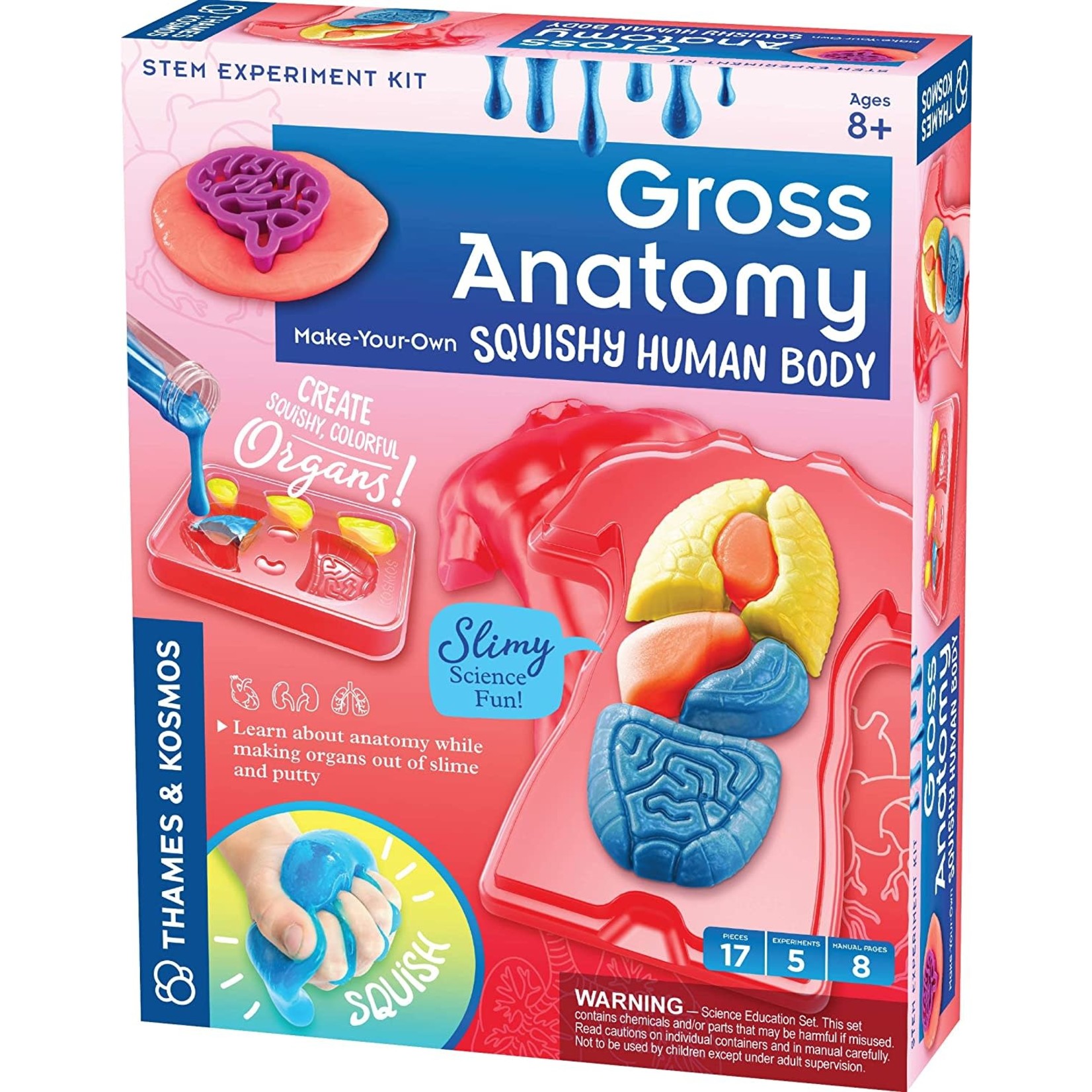 Thames & Kosmos Gross Anatomy: Make-Your-Own Squishy Human Body