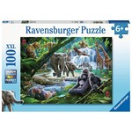 Ravensburger Jungle Families - 100 pc