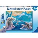 Ravensburger Polar Bear Kingdom - 300 pc