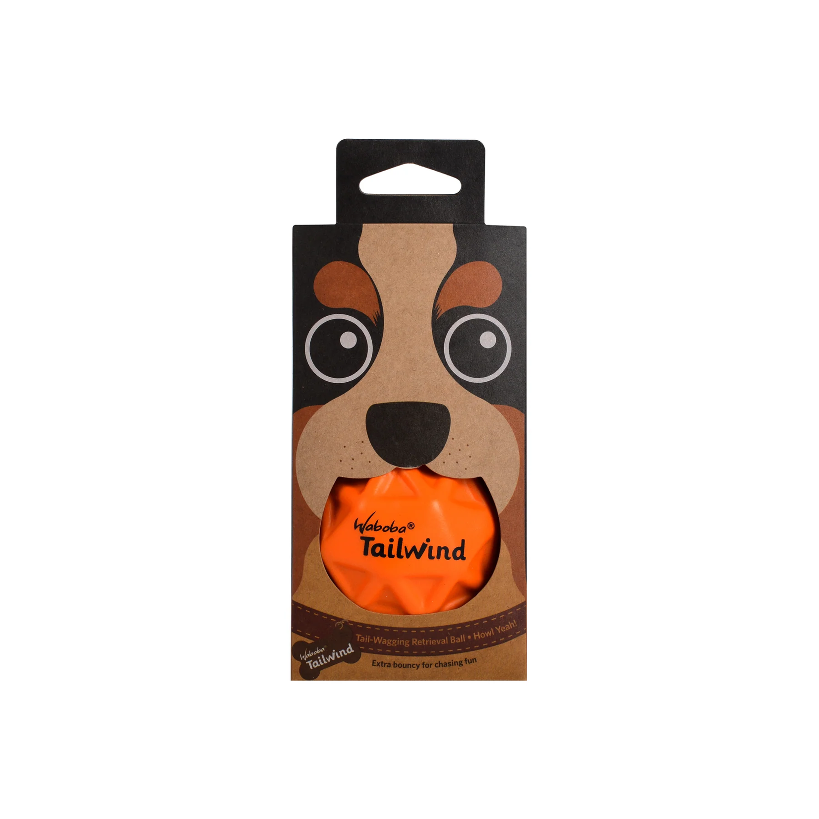 Waboba Tailwind Retrieval Dog Ball