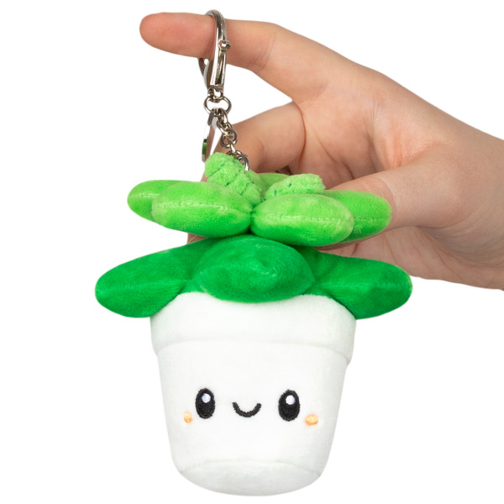 Squishable Micro Succulent