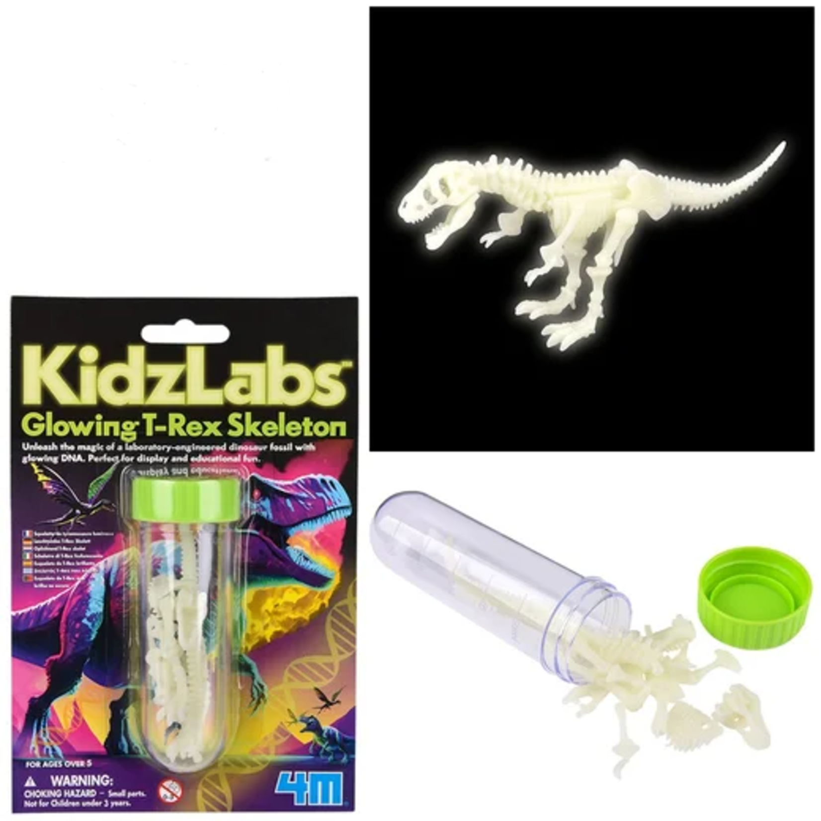 4M KidzLabs - Glowing T-Rex Skeleton